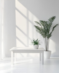 Wall Mural - Minimalist white room interior with plants on a table. Sunlight streams through a window, casting shadows on the wall.