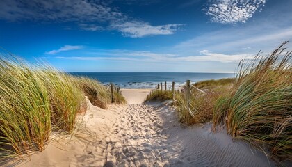 Wall Mural - Sandy path leads to a tranquil beach under a vibrant blue sky.