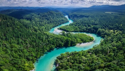 Canvas Print - Serene turquoise river winds through lush green forest.