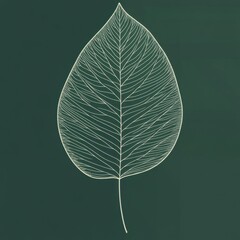 Poster - Elegant Green Leaf with Minimalist Line Art Design