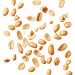 © Vector Nazmul - Tasty and nutritious peanuts isolated on transparent white background, clipping path