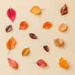 © ADD PHOTO - Vibrant Autumn Leaves Scattered in Tranquil Arrangement