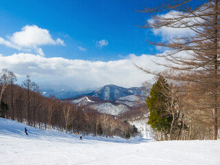 Wall Mural - Ski slope on a sunny day (Kawaba, Gunma, Japan)