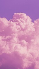 Wall Mural - Colorful Cloudy Pink Magenta Sky With Fluffy Clouds. Background Time Lapse. Toned Sky Backdrop. Toned Background Cloudscape Time Lapse, Timelapse, Time-lapse. Background. Abstract Pink And White color