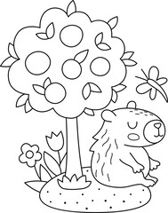 Wall Mural - Vector black and white capybara illustration. Cute line scene with capibara sitting under tangerine tree with dragonfly and flowers. Funny spring or summer scene, coloring page with adorable animal