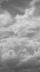 Wall Mural - Time Lapse Black And White Colors Cumulonimbus Clouds. Weather Forecast Concept. Cloud Black And White Sky. Strange Clouds Moving In Cloudy Sky. Cloudscape. Cumulus Clouds Float In Blue Sky. Time