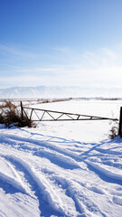 Wall Mural - snow covered fence