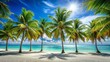 © Man888 - Idyllic Tropical Beach: Palm Trees Frame White Sand and Sparkling Ocean