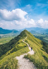 Wall Mural - In the background of blue sky and white clouds, there is an undulating green grassy mountain with some gravel paths on it