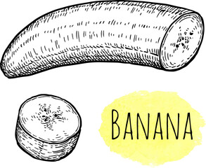 Wall Mural - peeled and sliced banana ink sketch