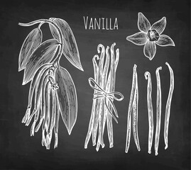 Canvas Print - vanilla spice chalk sketches