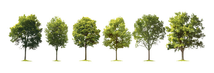 green tree isolated vector, illustration collections, white background graphic, nature design elemen