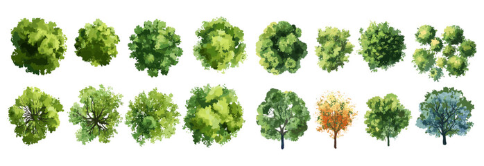Wall Mural - abstract watercolor tree vector illustration top view, isolated on white background, landscape plan,