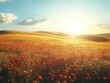 © Fridocha - Red poppies blooming in a golden field at sunset