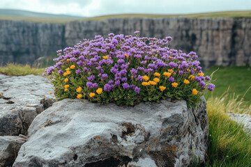 Canvas Print - Pocket Spring