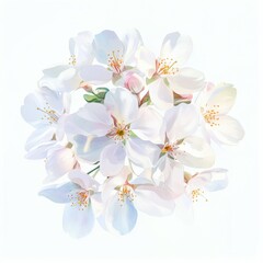 Wall Mural - White blossoms bloom beautifully in springtime arrangement