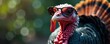 © OneWayPhoto - Cool Turkey Wearing Sunglasses - Reptile in shades with cool expression , animal portraits, turkey