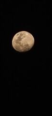 full moon in the night