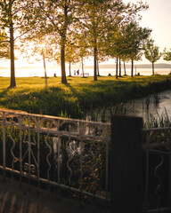 Wall Mural - Morning photo of nice trees at lake Balaton