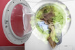 © Pixel-Shot - Modern washing machine with laundry on color background