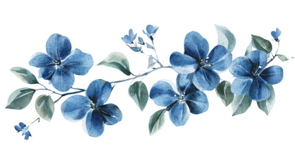 watercolor flower of tropical spring floral blue on transparent background