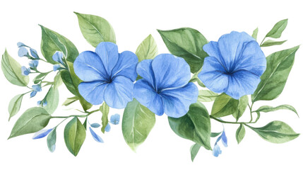 Watercolor flower of tropical spring floral blue on transparent background