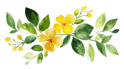 Watercolor flower of tropical spring floral colorful on transparent background
