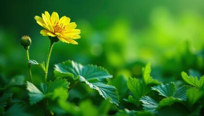 intricate details of a green flower environment, nature, flowers, greenery