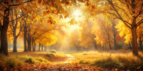  A serene autumn landscape with a blurred background of trees and foliage in the distance, set against a warm golden light