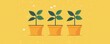 © ZpongXED - Three green plants in orange pots against a bright yellow background, symbolizing growth and nurturing.