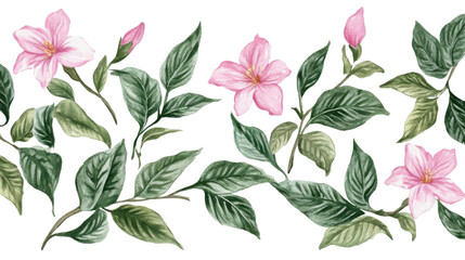Watercolor flower of tropical spring floral pink on transparent background