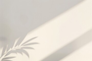 Wall Mural - minimalist leaf shadow on wall