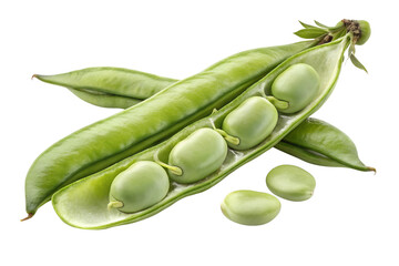 Broad bean isolated on a white background