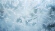 © ChrisTYCat - A captivating macro photograph showcasing the intricate delicate and breathtaking frost patterns that form on glass surfaces during the winter season