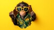 © yusmahendra0408 - Cool Chimp in Sunglasses and Hawaiian Shirt