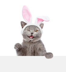 Fototapete - Happy winking kitten wearing easter rabbits ears looks above blank white banner. Isolated on white background