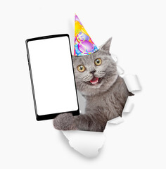Aufkleber - Surprised kitten wearing party cap holds smartphone with white blank screen in it paw through torn white paper hole. Empty free space for mock up, banner