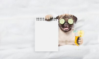 Fototapete - Funny Pug puppy with pieces of cucumber on his eyes holds orange cocktail and relaxing on the bed at beauty salon and showing empty list. Top down view