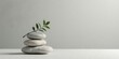 © vattana - Serene Stack of Smooth Stones with a Delicate Green Sprig Resting Atop, Evoking a Sense of Tranquility and Balance