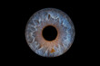 © Analle - Iris humain artistique- photographie yeux