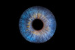 © Analle - Iris humain artistique- photographie yeux