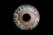 © Analle - Iris humain artistique- photographie yeux