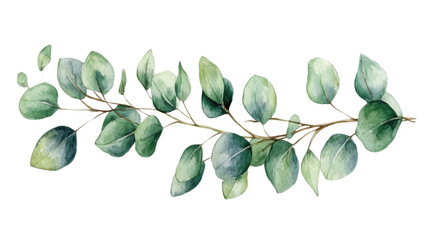 watercolor bouquet of leaves on transparent background