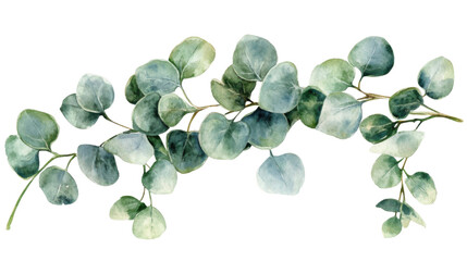 Watercolor bouquet of leaves on transparent background