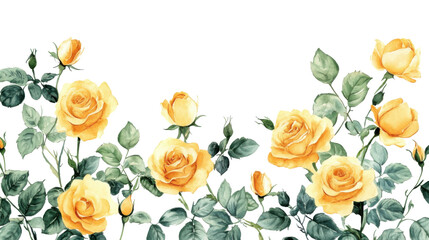 watercolor flower of tropical spring floral yellow on transparent background