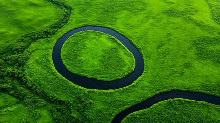 Wall Mural - An aerial view of winding rivers cutting through lush greenery, highlighting the harmonious design o