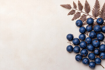 Aufkleber - A vibrant display of bright blue berries scattered beneath a dried fern leaf, emphasizing intricate