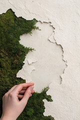 Aufkleber - A hand pulling back an edge of moss to highlight distinct layers: a beige backing and a pristine whi