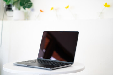 macbook pro / macbook air for professional work