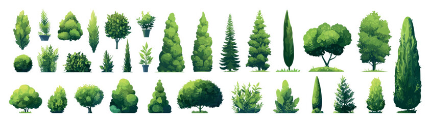 decorative green trees set. park garden plants, decoration environment summer shrub coniferous decid